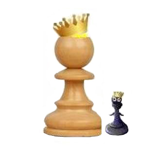 Шахматный турнир «Самарская ладья»